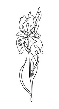 Iris one line art. vector illustration Stock Illustration