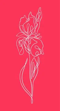 Iris one line art. vector illustration Illustrazione stock