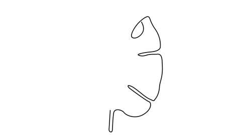 Iris one line drawing. Continuous line flower. Hand-drawn illustration for logo, Stock Footage 150094465