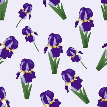 Iris pattern Stock Illustration