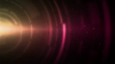 Iris Pink Yellow Stock Footage 20537364