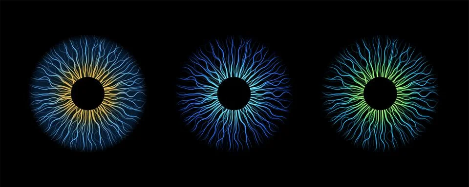 Iris poster Stock Illustration