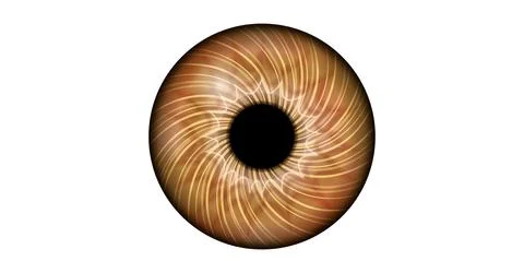 Iris poster Stock Illustration