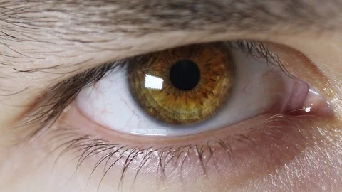 Iris pupil contracting slow motion Stock Footage 96255524
