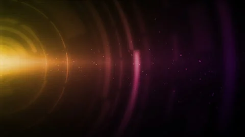 Iris Purple Yellow Stock Footage 25990689