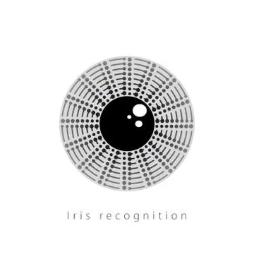 Iris recognition. Retina scan. Biometric recognition system Stock Illustration