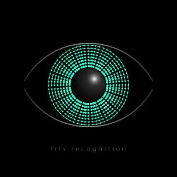 Iris recognition. Retina scan. Biometric recognition system Stock Illustration