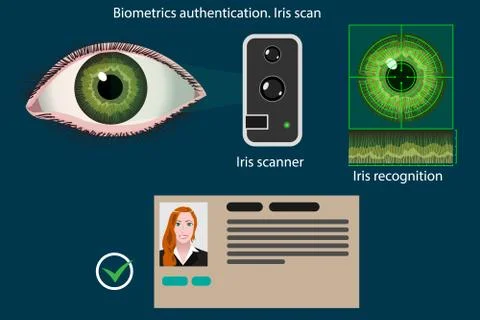 Iris scan - biometric authentication method Stock Illustration