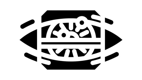 Iris scan biometric glyph icon animation Stock Footage 326737519