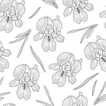 Iris spring garden flower hand drawn outline seamless pattern, repeat floral Illustrazione stock
