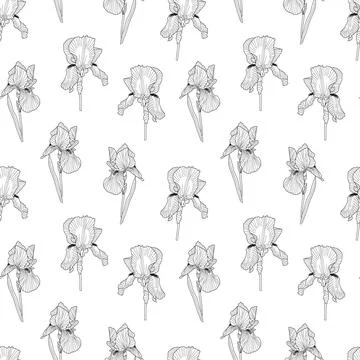 Iris spring garden flower hand drawn outline seamless pattern, repeat floral Stock Illustration