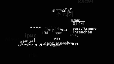 Iris Translated in 40 Worldwide Languages Endless Looping 3d Zooming Wordclou Stock-Footage 145211029