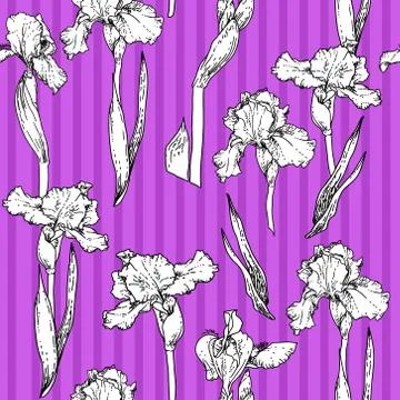 Iris violet pattern Illustrazione stock