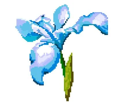 Iris on a white background. Pixel illustration of the flower. Stock-Illustration