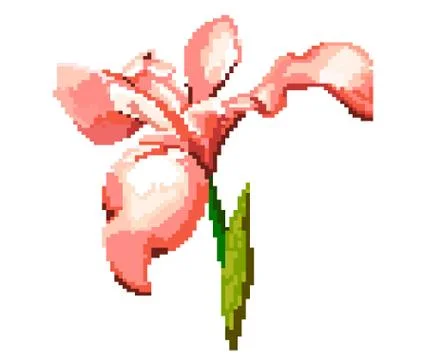 Iris on a white background. Pixel illustration of the flower. Stock Illustration