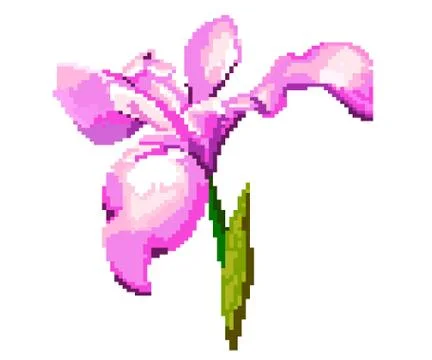 Iris on a white background. Pixel illustration of the flower. Stock Illustration