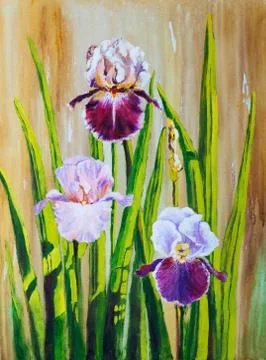 Irises Stock Illustration