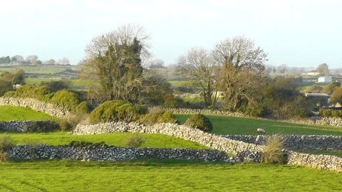 Irish Agricultural Landscape Stock Footage 89986559