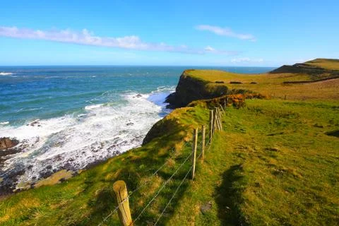 Irish coastline in springtime Stock Photos