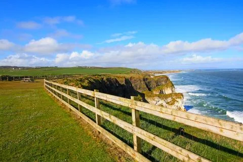 Irish coastline in springtime Stock Photos