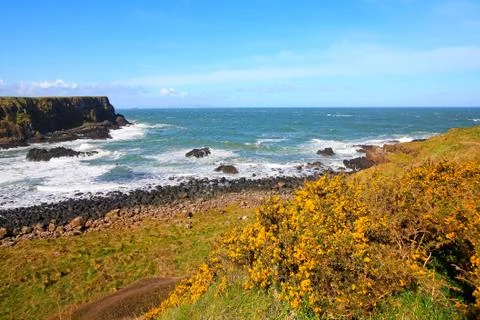 Irish coastline in springtime Stock Photos
