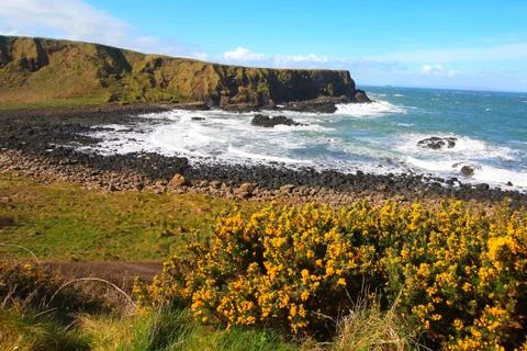 Irish coastline in springtime Stock Photos