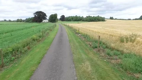 Irish Corn Field Stock Footage 78863598