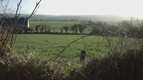 Irish country side Stock Footage 124256913