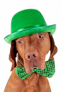 Irish for the day Stock Photos