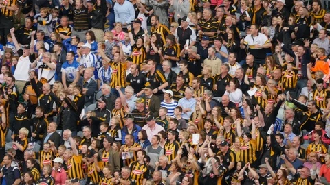 Irish fans of hurling cheering in stadium in Kilkenny, Ireland Stock Footage