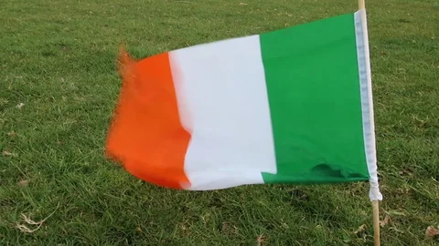 Irish flag flies in the wind 動画素材 128933424