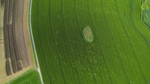 Irish green field with small cloudlet 库存影片 243818649