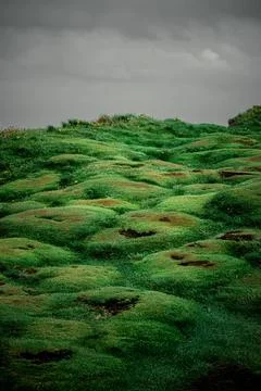 Irish green Foto stock