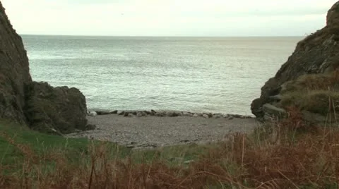 Irish grey seals (3/3) Stock Footage 10890373