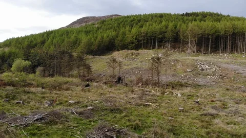 Irish Mountains and Forest Video stock 107617318