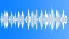 Irish Nightingale Specially CreatedSound Effect
