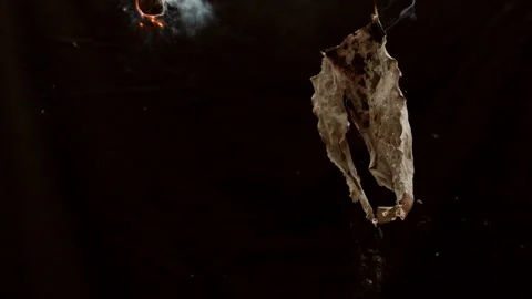 Irish Proclamation Burning Stock Footage 292004082