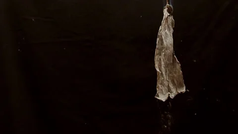 Irish Proclamation Burning Stock Footage 292005687