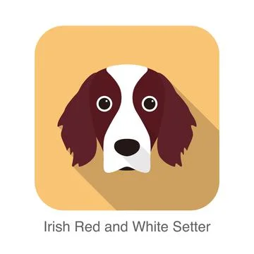 Irish red and white setter terrier dog face portrait, vector illustration Stock Illustration