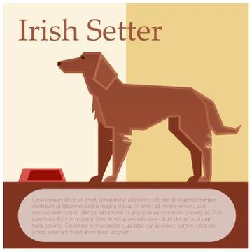 Irish setter colourful postcard Stock Illustration
