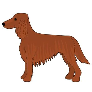 Irish Setter Dog Stock Illustration