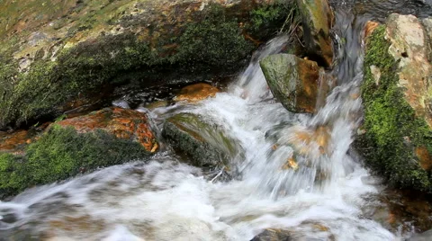 Irish Stream with Green Moss Stock Footage 917049