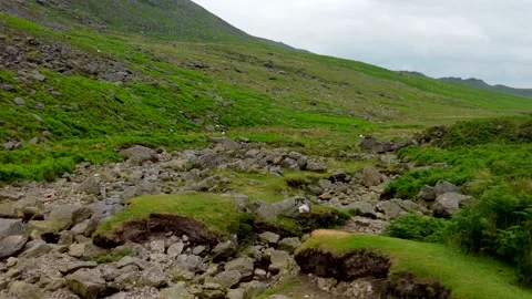 Irish terrain 動画素材 341148866