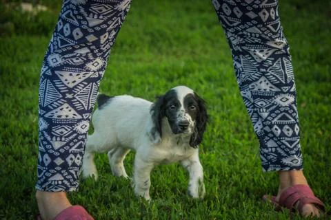 Irma. future hunter Stock Photos