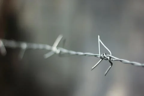 Iron Barbed Wire Stock Photos