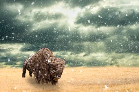 Iron buffalo made of iron scrap walking in dry prairie with falling snow. Ope Stock Photos