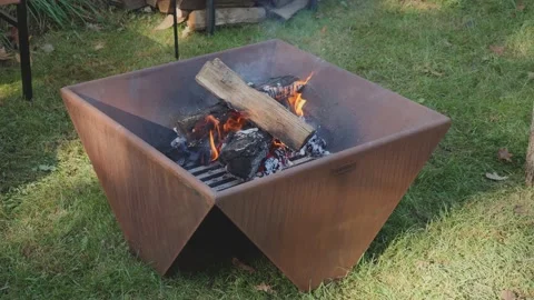 Iron burning fire pit with logs 動画素材 218355281