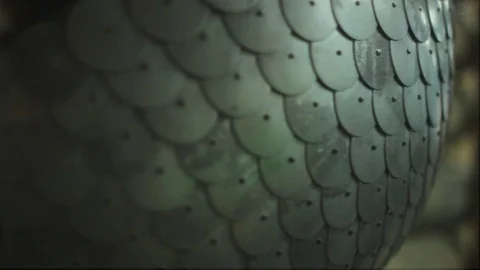 The iron chain hanging on the wall Stock Footage 73312298