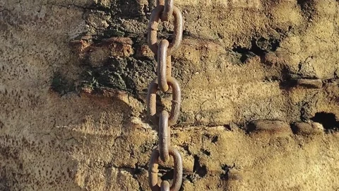 Iron chain swinging in front of tree trunk Stock Footage 341683019