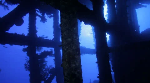 Iron  frames inside the wreck Stock Footage 22734427